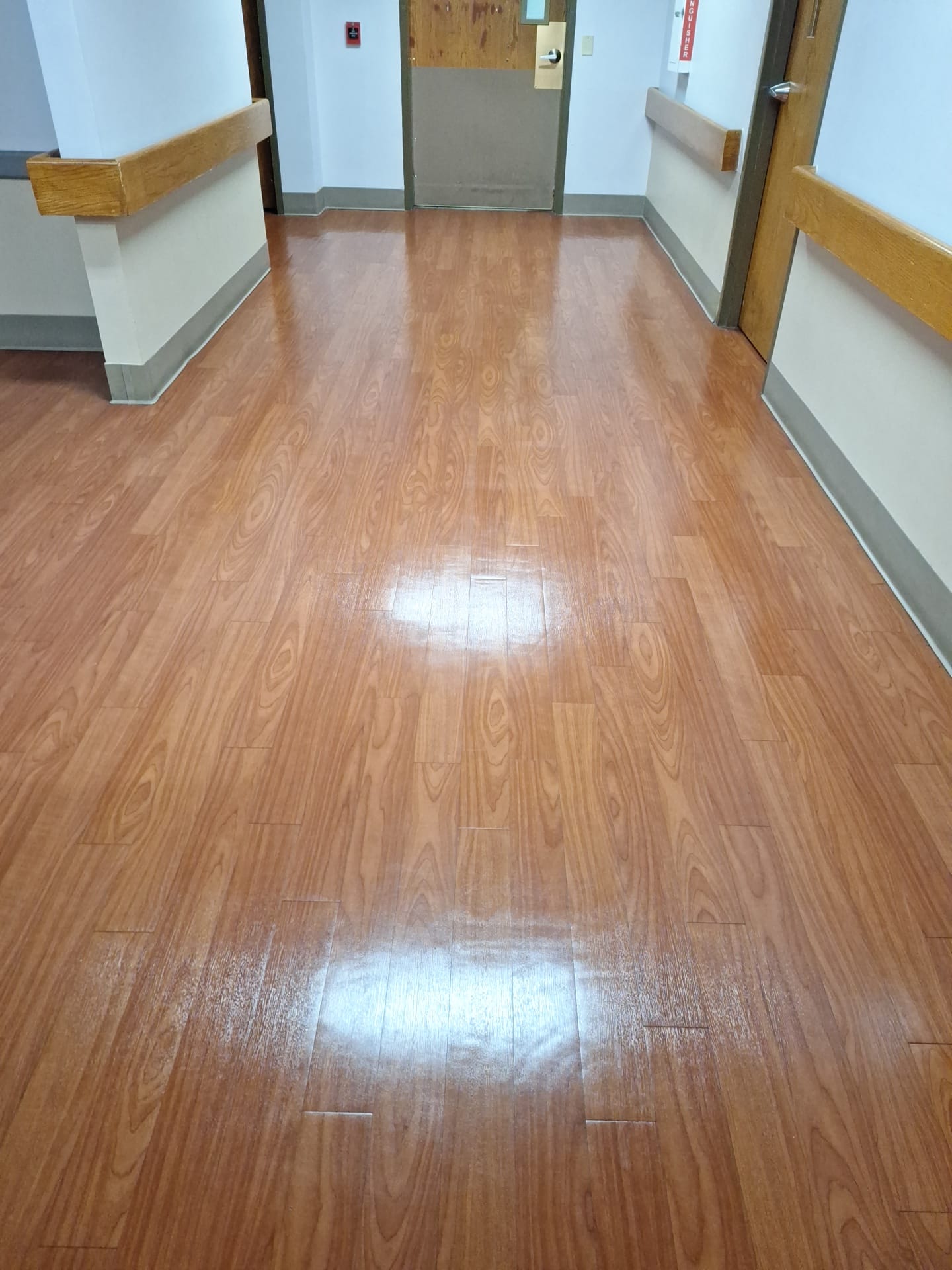 WhatsApp Image 2026-02-27 at 11.40.09 PM.jpeg